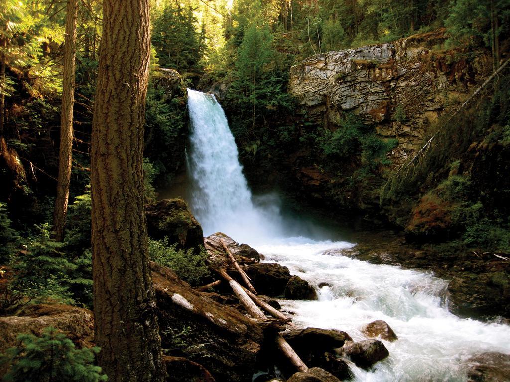 Glacier House Hotel & Resort Revelstoke Dış mekan fotoğraf